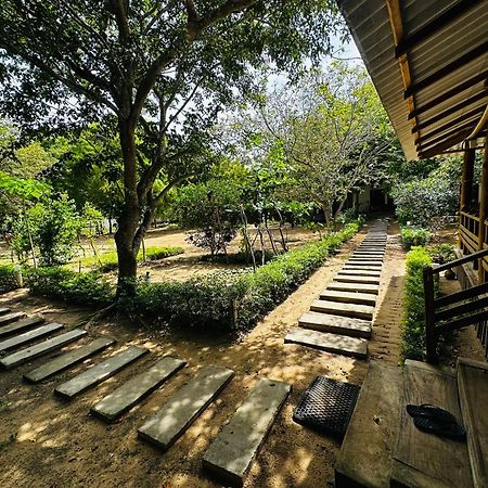 Riva Del Sole Guest House بوتوفيل المظهر الخارجي الصورة