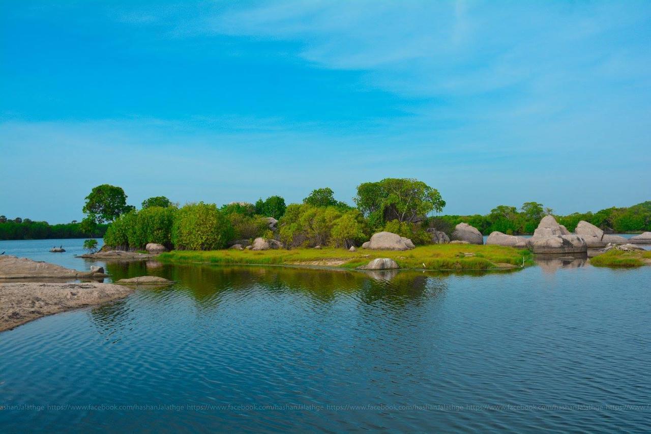 Riva Del Sole Guest House بوتوفيل المظهر الخارجي الصورة
