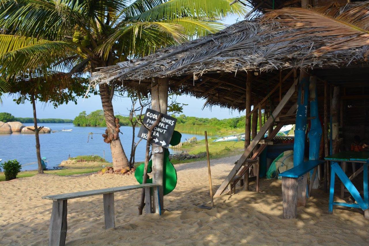 Riva Del Sole Guest House بوتوفيل المظهر الخارجي الصورة